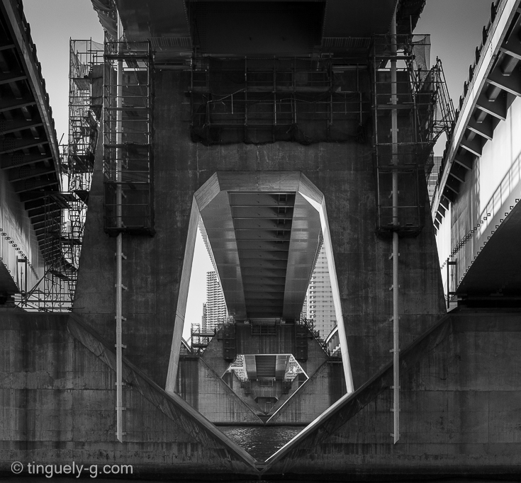 black and white, Japan, Japon, tinguely gaëtan, tinguely photography, Tokyo, www.tinguely-g, black and white